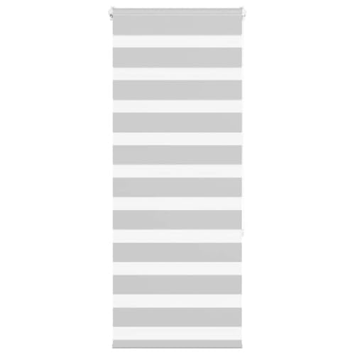 Zebra Jalousie Rollo mit Kettenzug, 100% Polyester Sicht- und Sonnenschutz für Fenster, kinderleicht verstellbar, ohne Bohren montierbar, in verschiedenen Größen erhältlich von ZQQLVOO