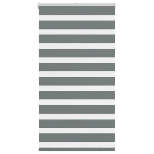 Zebra Jalousie Rollo mit Kettenzug, 100% Polyester Sicht- und Sonnenschutz für Fenster, kinderleicht verstellbar, ohne Bohren montierbar, in verschiedenen Größen erhältlich von ZQQLVOO