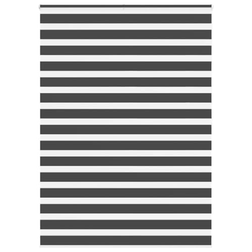 Zebra Jalousie Rollo mit Kettenzug, Sicht- und Sonnenschutz, 100% Polyester, kinderleicht zu reinigen, für Fenster im Wohnzimmer, Schlafzimmer, Büro, Zwei von ZQQLVOO