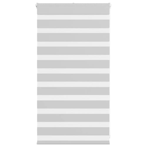 Zebra Jalousie Rollo mit Kettenzug, Sicht- und Sonnenschutz für Fenster, 100% Polyester, kinderleicht zu reinigen, ohne Bohren montierbar, modernes Design für Wohnzimmer, von ZQQLVOO
