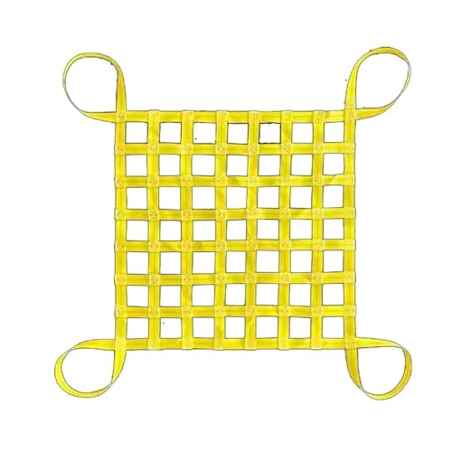 Lastenhebenetz - Hängenetz zum Abschleppen, Lastennetz für die Ladefläche eines Pickups, Lastenhebenetz, flaches Hebenetz aus Polyester mit quadratischen Maschen(1 X 1M/Mesh 10cm/Load 2t) von ZQXYXFUS