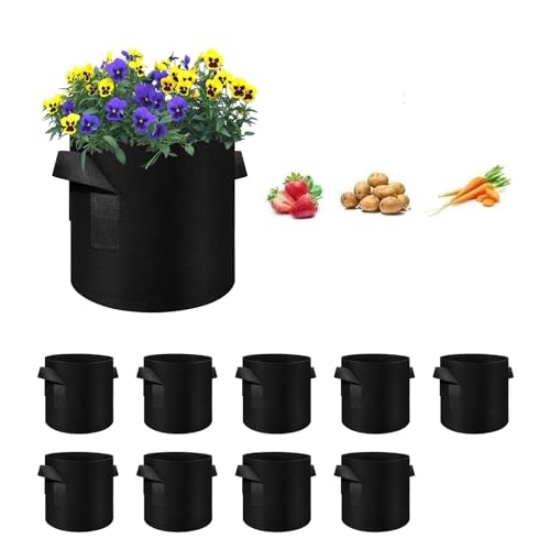 Pflanzsack 10 Stück 11L Pflanzsäcke für Tomaten, Pflanzsack aus Vliesstoff, Garten Gewächshaus Pflanzbeutel Pflanztopf, Pflanztasche mit Griffe für Kartoffeln Tomaten Erdbeeren,Schwarz,3 Gallonen Pflanzsack 10 Stück 11L Pflanzsäcke für Tomaten, Pflanzsack aus Vliesstoff, Garten Gewächshaus Pflanzbeutel Pflanztopf, Pflanztasche mit Griffe für Kartoffeln Tomaten Erdbeeren,Schwarz,3 Gallonen von ZQYMM