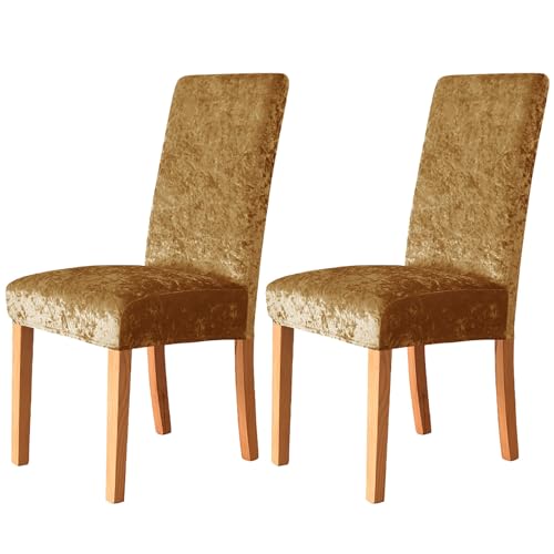 ZRCYXDW Stuhlhussen 2 Stück, Stretch Stuhlhussen Für Esszimmer Zerquetscht Samt Weicher Abnehmbarer Stuhlhussen Für Esszimmerstühle Waschbarer Für Küche Hotel Bankett-Gold-2er Set von ZRCYXDW