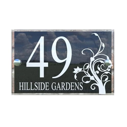 Hausnummer Customized Transparent Acrylic House Signs Door Plates Plaques With Black Panel Number And St. Name(20cm) von ZRHWSPD