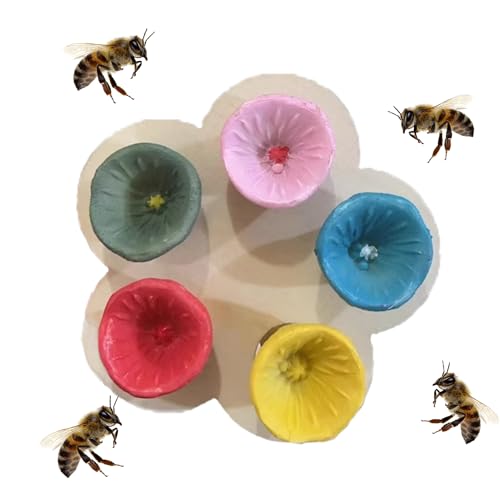 ZRYYSNW 5 Stücke Bienen Insekten Trinkbecher, Bee Cups für Bienen Trinken, Bienen Trinkbecher Insekten Trinkbecher, Bienen Becher Garten, Bee Cups für Lassen Sie Bienen Besser Bestäuben (A) von ZRYYSNW