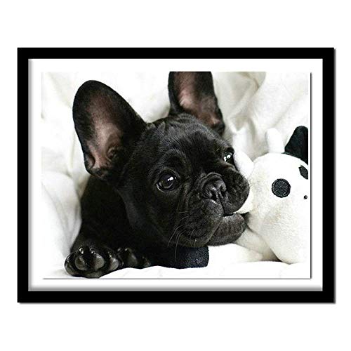 Diamant-Malerei, 5D-Diamant-Malerei-Set für Erwachsene, 40 x 50 cm, schwarze französische Bulldogge, ganzer Hund von ZSEWQ
