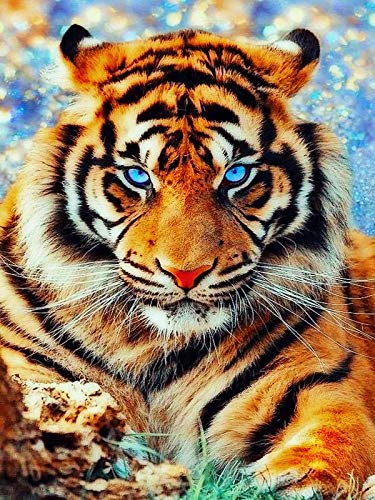 ZSJDOSE Diamond Painting Erwachsene Kinder 5D Diamant Full Bilder Stickerei Malerei Runde Steinchen Home Deco Weihnachten Geschenk (Tiger) von ZSJDOSE