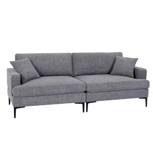 ZSLKDL Stilvoller, gepolsterter Zweisitzer mit Metallbeinen, Sitzkapazität, geeignet für Wohnzimmer ZSLKDL Stilvoller, gepolsterter Zweisitzer mit Metallbeinen, Sitzkapazität, geeignet für Wohnzimmer von ZSLKDL