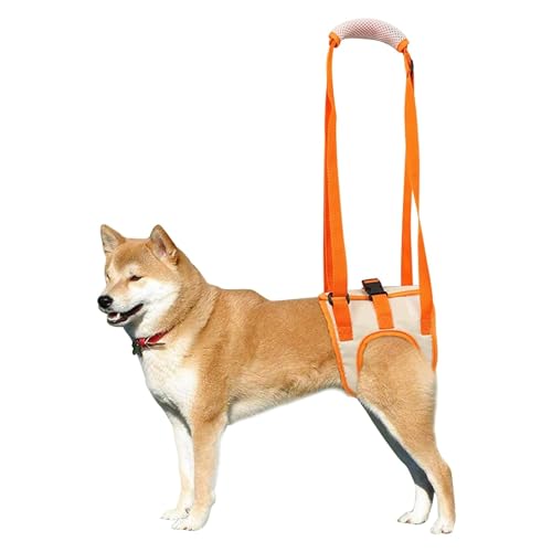 Hundegeschirr, Tragehilfe Hund Hinten, Dog Lift Harness Tragbarer Hebeband-Tragegurt Helfen Sie Hunden Mit Schwachen Hinterbeinen, für Verletzte Behinderte Kleine, Mittlere und Große Hunde (Größe L) von ZSMJAER