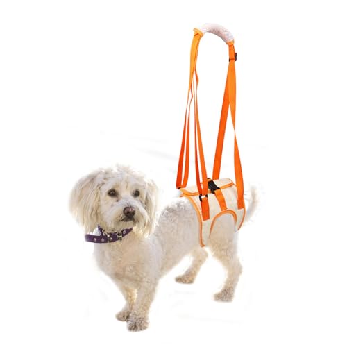 Hundegeschirr, Tragehilfe Hund Hinten, Dog Lift Harness Tragbarer Hebeband-Tragegurt Helfen Sie Hunden Mit Schwachen Hinterbeinen, für Verletzte Behinderte Kleine, Mittlere und Große Hunde (Größe S) von ZSMJAER