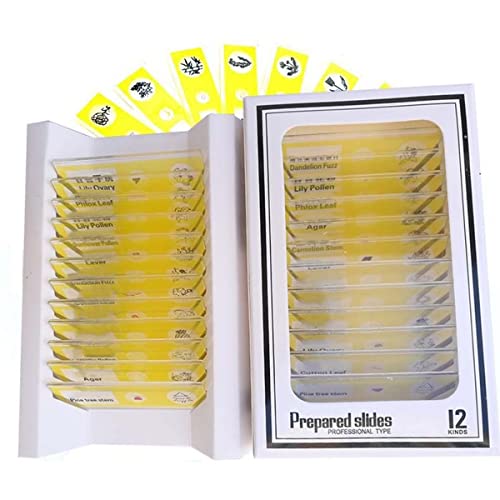 JUIYU Mikroskop-Zubehör-Kit 4 Set Tiere Kunststoff vorbereitete Mikroskop-Gleitrutschen Biologisches Spielzeug Mikroskopische Objektträger (Color : Yellow) von ZTBH