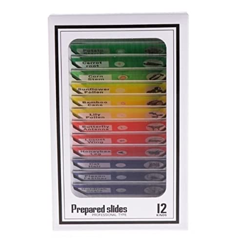 Mikroskop-Zubehör-Kit 12 PCs vorbereitete Mikroskoprutsche Set Exemplar Mikroskopische Objektträger Mikroskop-Zubehör-Kit 12 PCs vorbereitete Mikroskoprutsche Set Exemplar Mikroskopische Objektträger von ZTBH