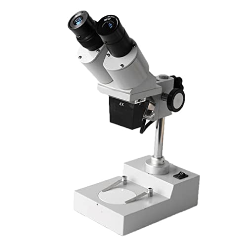 Mikroskop-Zubehör-Kit 2. 0x 30x 40x. Stereomikroskop, ein Binokularkopf optischer Glaslinse mit Wf10x. Okular-obere Halogenlampe Beleuchtung Beleuchtung Mikroskopische Objektträger(20X 30X 40X) von ZTBH