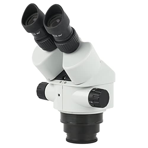 Mikroskop-Zubehör-Kit 3. 5x 7x 45x 90x Binokulares Stereo-Mikroskop-Kopf-Zubehör WF10X / 2. 2mm-Okulare. Mikroskopische Objektträger(5) von ZTBH