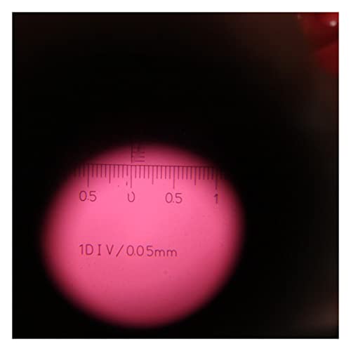 Mikroskop-Zubehör-Kit 4. 0x LED. Beleuchteter verstellbarer Taschenmikroskop-Handheld-Lupe mit Lesemaßstab 0,05 mm Mikroskopische Objektträger(With scale 0.05mm) von ZTBH