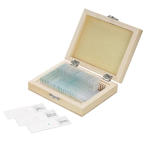 Mikroskop-Zubehör-Kit Biologie, 25 Stück, vorbereitete Glas-Objektträger, Lehrproben Mikroskopische Objektträger von ZTBH