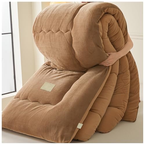 ZTGL Bettdecke 4 Jahreszeiten, Winter Mikrofaser Steppdecke, Dicke Doppelseitige Samt Bettdecke, Extra Warm Für Winter, Dicker Flauschige Baumwolle Steppdecken Plüsch Winterdecke A, 150×200cm/3kg von ZTGL