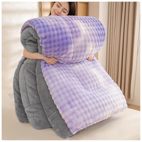 ZTGL Bettdecke Baumwolle Winter, Flauschige Steppdecken Für Allergiker Duvet, Dick Warm, Winter Kaschmir Steppdecke Bettwäsche, Kern Aus Lammsamt, Dicker Warmer Plüsch Winterdecke F, 220×240cm/5kg von ZTGL