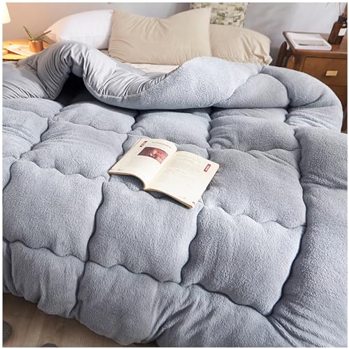 ZTGL Bettdecke Baumwolle Winter - Winter Warm Lamm Samtkern Flauschige Doppelseitiges Kaschmir Quilt Dicker Warmer Plüsch Winterdecke - Plus Samtkern Steppdecke,A,150x200cm(1.5kg) von ZTGL