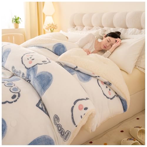 ZTGL Dicke, Warme Lammkaschmir Steppdecke für den Winter, Flauschige Bettdecken aus Lammsamt, Winter Plüsch Decke, Bettdecke 4 Jahreszeiten, Doppelseitige Dicke Warm Steppdecken D, 220×240cm/5kg von ZTGL