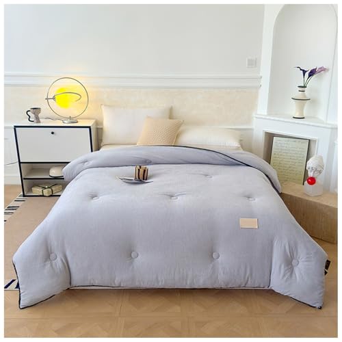 ZTGL Dicke Bettdecke, Winter Extra Warme Flauschige Steppdecken, Winter Weiche Mikrofaser Daunendecke, Doppelseitige Fleece-Steppdecke, Dicker Bettdecke Aus Samt, Plüsch Winterdecke A, 200×230cm/5kg von ZTGL