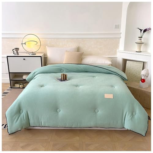 ZTGL Dicke Bettdecke, Winter Extra Warme Flauschige Steppdecken, Winter Weiche Mikrofaser Daunendecke, Doppelseitige Fleece-Steppdecke, Dicker Bettdecke Aus Samt, Plüsch Winterdecke B,150×200cm/2kg ZTGL Dicke Bettdecke, Winter Extra Warme Flauschige Steppdecken, Winter Weiche Mikrofaser Daunendecke, Doppelseitige Fleece-Steppdecke, Dicker Bettdecke Aus Samt, Plüsch Winterdecke B,150×200cm/2kg von ZTGL