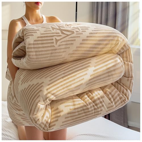 ZTGL Dicke Bettdecke Winter, Doppelseitige Weiche Warme Plüsch Decke, Flauschig Verdicken Samt Steppdecken, Winterwarm, Dicker Bettwäsche Mikrofaser Daunendecke für den Winter A, 200 * 230cm/4kg ZTGL Dicke Bettdecke Winter, Doppelseitige Weiche Warme Plüsch Decke, Flauschig Verdicken Samt Steppdecken, Winterwarm, Dicker Bettwäsche Mikrofaser Daunendecke für den Winter A, 200 * 230cm/4kg von ZTGL