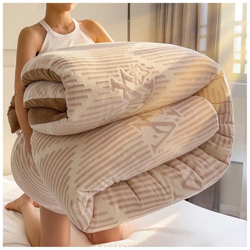 ZTGL Dicke Bettdecke Winter, Doppelseitige Weiche Warme Plüsch Decke, Flauschig Verdicken Samt Steppdecken, Winterwarm, Dicker Bettwäsche Mikrofaser Daunendecke für den Winter B, 220 * 240cm/5kg ZTGL Dicke Bettdecke Winter, Doppelseitige Weiche Warme Plüsch Decke, Flauschig Verdicken Samt Steppdecken, Winterwarm, Dicker Bettwäsche Mikrofaser Daunendecke für den Winter B, 220 * 240cm/5kg von ZTGL