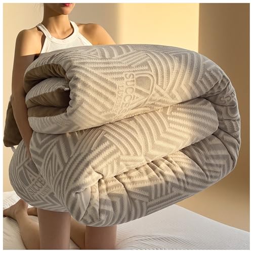 ZTGL Dicke Bettdecke Winter, Doppelseitige Weiche Warme Plüsch Decke, Flauschig Verdicken Samt Steppdecken, Winterwarm, Dicker Bettwäsche Mikrofaser Daunendecke für den Winter C, 200 * 230cm/5kg ZTGL Dicke Bettdecke Winter, Doppelseitige Weiche Warme Plüsch Decke, Flauschig Verdicken Samt Steppdecken, Winterwarm, Dicker Bettwäsche Mikrofaser Daunendecke für den Winter C, 200 * 230cm/5kg von ZTGL