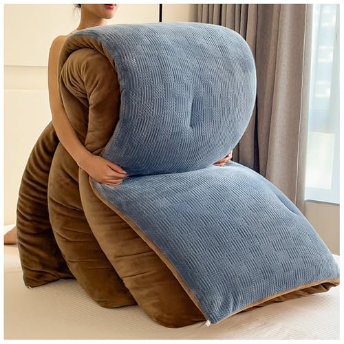 ZTGL Dicke Bettdecke Winter, Flauschige Doppelseitige Mikrofaser Steppdecken Winter Bettdecke, Weiche Warme Plüsch Winterdecke, Dick warm, Verdicken Bettwäsche Daunendecke Aus Samt A, 200 * 230cm/4kg von ZTGL