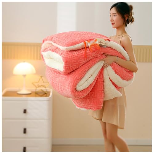 ZTGL Dicke Kaschmir Bettdecke, Winter Extra Warm Lamm-Kaschmir Steppdecke, Doppelseitige Flauschige Winterdecke Aus Lammsamt, Dick Warm, Winter Mikrofaser Bettwäsche Bettdecke A, 220×240cm/4kg von ZTGL