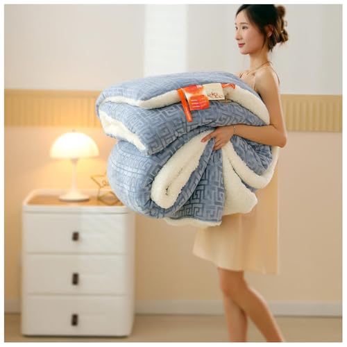 ZTGL Dicke Kaschmir Bettdecke, Winter Extra Warm Lamm-Kaschmir Steppdecke, Doppelseitige Flauschige Winterdecke Aus Lammsamt, Dick Warm, Winter Mikrofaser Bettwäsche Bettdecke C, 200×230cm/5kg ZTGL Dicke Kaschmir Bettdecke, Winter Extra Warm Lamm-Kaschmir Steppdecke, Doppelseitige Flauschige Winterdecke Aus Lammsamt, Dick Warm, Winter Mikrofaser Bettwäsche Bettdecke C, 200×230cm/5kg von ZTGL