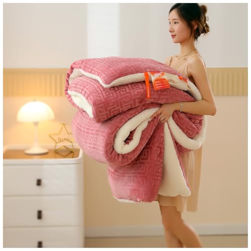 ZTGL Dicke Kaschmir Bettdecke, Winter Extra Warm Lamm-Kaschmir Steppdecke, Doppelseitige Flauschige Winterdecke Aus Lammsamt, Dick Warm, Winter Mikrofaser Bettwäsche Bettdecke D, 220×240cm/5kg von ZTGL