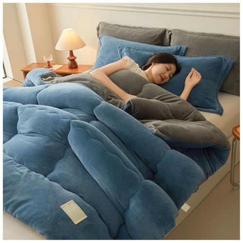 ZTGL Dicke Warme Bettdecke, Verdickte Doppelseitige Samt Steppdecke Für Winter, Winterwarm, Dick Bettdecke, Antiallergische Mikrofaser Fleece Bettdecke, Weiche Plüsch Winterdecke A, 200×230cm/5kg von ZTGL
