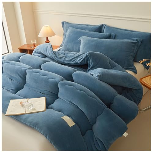 ZTGL Dicker Steppdecke Winter, Flauschige Warmer Plüsch Bettdecke, Dicke Allergiker-Winterdecke, Warme Baumwolle Winter Decke, Doppelseitiges Luxus Verdicken Mikrofaser Bettdecke D, 200×230cm/4kg von ZTGL