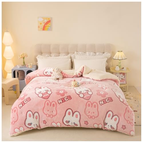 ZTGL Winter Steppdecke Dicker Lamm-Kaschmir, Warme Doppelseitige Samt Bettdecke, Flauschige Plüsch Winterdecke, Kaschmir Steppdecken, Antiallergische Dicke Lammwolle Bettdecke A, 200×230cm/5kg von ZTGL