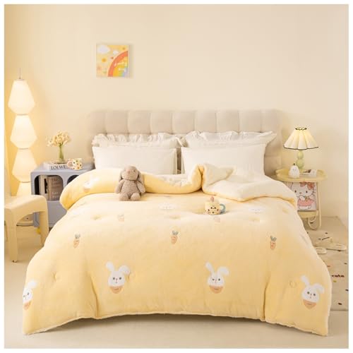 ZTGL Winter Steppdecke Dicker Lamm-Kaschmir, Warme Doppelseitige Samt Bettdecke, Flauschige Plüsch Winterdecke, Kaschmir Steppdecken, Antiallergische Dicke Lammwolle Bettdecke E, 150×200cm/3.5kg ZTGL Winter Steppdecke Dicker Lamm-Kaschmir, Warme Doppelseitige Samt Bettdecke, Flauschige Plüsch Winterdecke, Kaschmir Steppdecken, Antiallergische Dicke Lammwolle Bettdecke E, 150×200cm/3.5kg von ZTGL