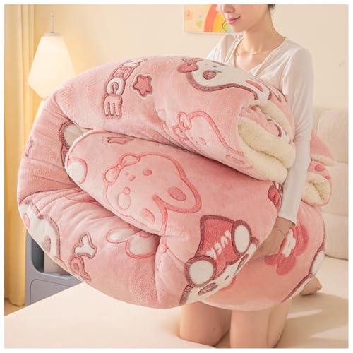 ZTGL Winter Warm Kaschmir Steppdecke, Dicker Lamm-Kaschmir Bettdecke, Bettdecke 4 Jahreszeiten, Flauschige Plüsch Winterdecke, Winter Warmer Lamm Samtkern Bettwäsche Steppdecken B, 200×230cm/5kg ZTGL Winter Warm Kaschmir Steppdecke, Dicker Lamm-Kaschmir Bettdecke, Bettdecke 4 Jahreszeiten, Flauschige Plüsch Winterdecke, Winter Warmer Lamm Samtkern Bettwäsche Steppdecken B, 200×230cm/5kg von ZTGL