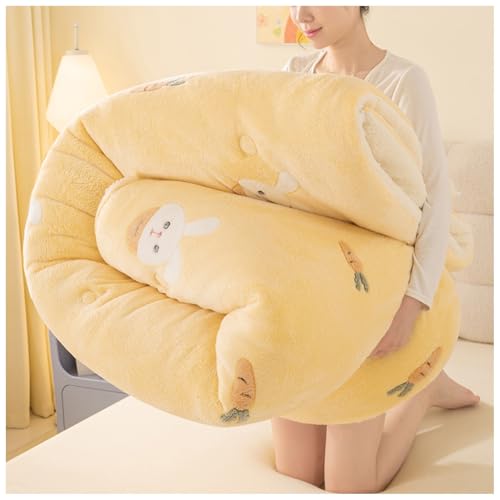 ZTGL Winter Warm Kaschmir Steppdecke, Dicker Lamm-Kaschmir Bettdecke, Bettdecke 4 Jahreszeiten, Flauschige Plüsch Winterdecke, Winter Warmer Lamm Samtkern Bettwäsche Steppdecken D, 220×240cm/5kg von ZTGL