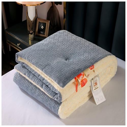 ZTGL Winter Warme Bettdecke aus Lamm-Kaschmir, Luxus Verdicken Doppelseitige Wolldecke, Dicker Kaschmir Steppdecke, Mikrofasergefülltes, Flauschige Weiches Plüsch Winter Decke C, 220×240cm/5kg von ZTGL