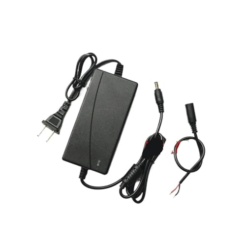 12V 10A Netzteil Auto Staubsauger Kühlschrank Motor Wasserpumpe Luftpumpe Netzteil 120W(12V-5A) von ZTOSZSPT