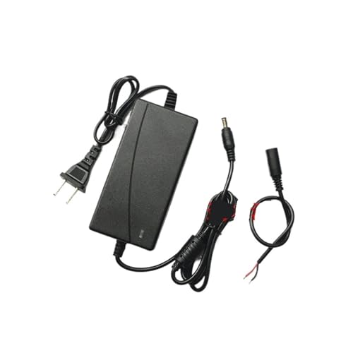 12V 10A Netzteil Auto Staubsauger Kühlschrank Motor Wasserpumpe Luftpumpe Netzteil 120W(12V-6A) von ZTOSZSPT
