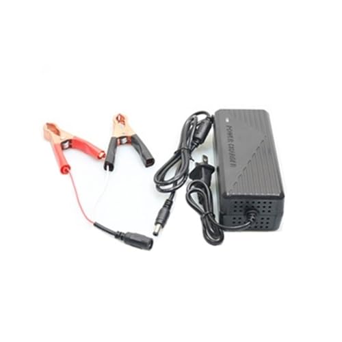 14,6 V 5 A 10 A Lithium-Eisenphosphat-Akku-Ladegerät 3,2 V viersträngiger 12,8 V Lithium-Eisen-12-V-Power-Akku 6 A(14.6V-5A with Fan+5.5 Head+Clips) von ZTOSZSPT