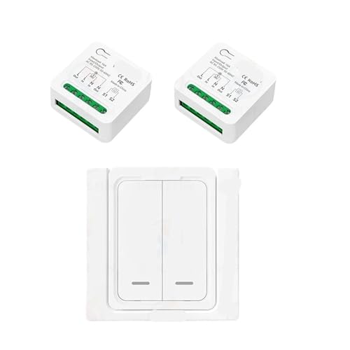 16A Fernbedienung Lichtschalter Zwei-Wege-Steuerung 110V 220V Mini-Empfänger Wandpanel Timing-Funktion(2 receiver 1 panel) von ZTOSZSPT