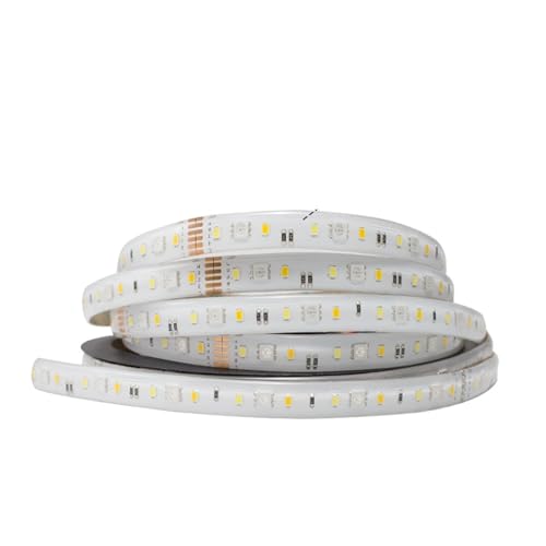 3.0 LED-Lichtstreifen-Controller RGB CCT RGBW Farbe Weißlicht gemischt(5m LED Strip IP65) von ZTOSZSPT