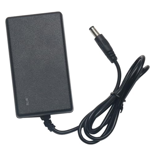 8,4V 7,4V 2A Lithium-Akku-Ladekabel Zwei Saiten 18650 Polymer-Fingerabdruck-Schloss-Gegensprechanlage(8.4V-2A+5.5 * 2.5 Big Head+line 1 mi) von ZTOSZSPT