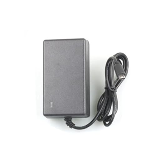 8,4V 7,4V 2A Lithium-Akku-Ladekabel Zwei Saiten 18650 Polymer-Fingerabdruck-Schloss-Gegensprechanlage(8.4V-2A -Fast Charging Model) von ZTOSZSPT