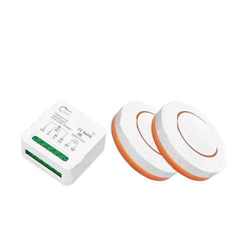 DIY fernbedienung licht schalter zwei-weg control 110V 220V 16A timing funktion(1 receiver 2 remote) von ZTOSZSPT