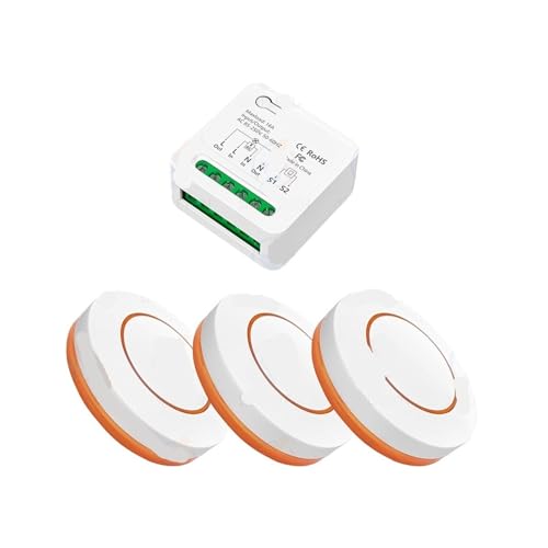 DIY fernbedienung licht schalter zwei-weg control 110V 220V 16A timing funktion(1 receiver 3 remote) von ZTOSZSPT