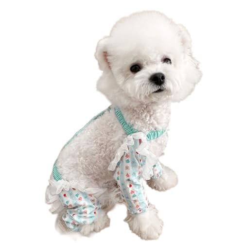 Wiederverwendbarer Hunde-Overall, Outdoor-Spaziergänge, weiche, staubdichte Leggings für kleine und große Haustiere, vierbeinige Strapse, Haustierbekleidung Wiederverwendbarer Hunde-Overall, Outdoor-Spaziergänge, weiche, staubdichte Leggings für kleine und große Haustiere, vierbeinige Strapse, Haustierbekleidung von ZUJIABAO